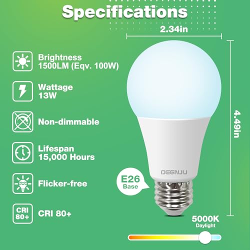 LED Light Bulbs (24 Count)