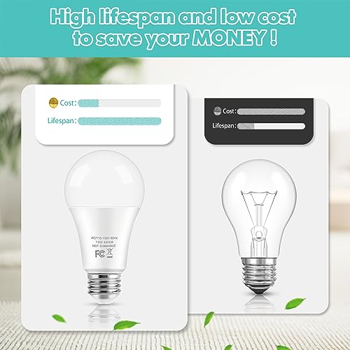 LED Light Bulbs (4 Count)
