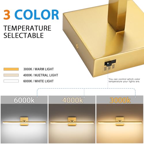 LED Bathroom Vanity Light