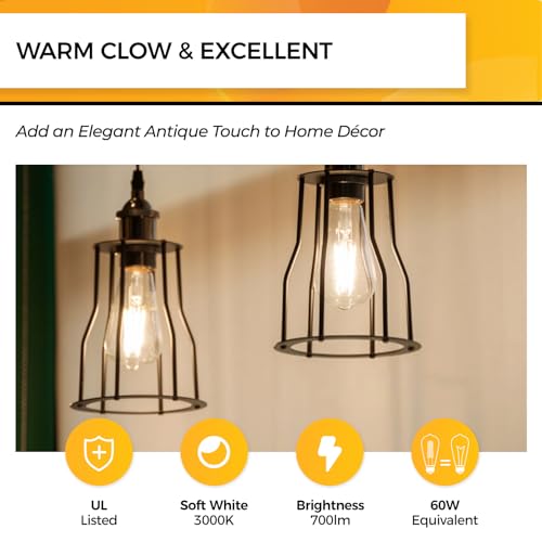 Edison Bulbs Dimmable (18 Count)