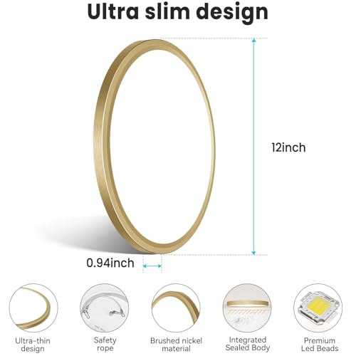 12 Inch LED Ceiling Light Golden
