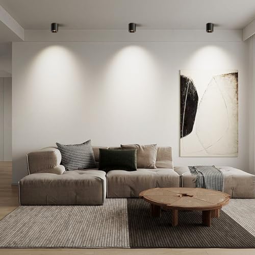 Modern LED Ceiling Light Fixture Flush Mount COB 20W 4000K Cylinder Ceiling Lights