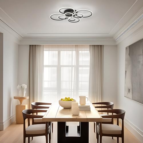 Modern LED Ceiling Light