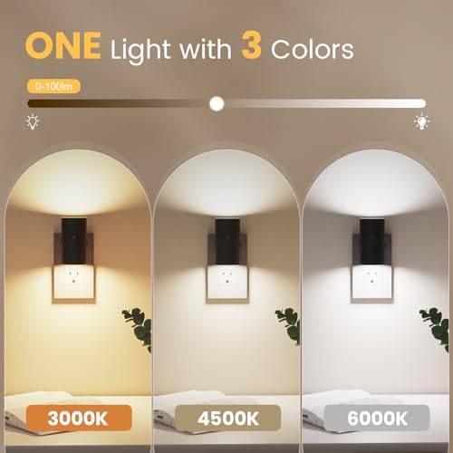 Night Lights Plug into Wall (6 Count)