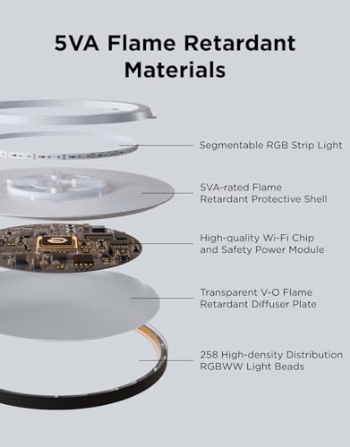 Smart Ceiling Light