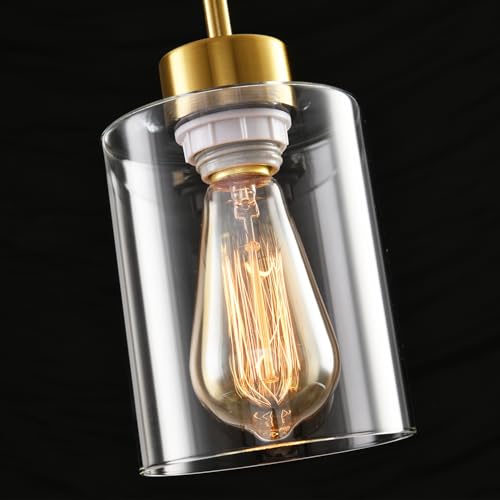 Modern Black Farmhouse Pendant Light with Glass Shade