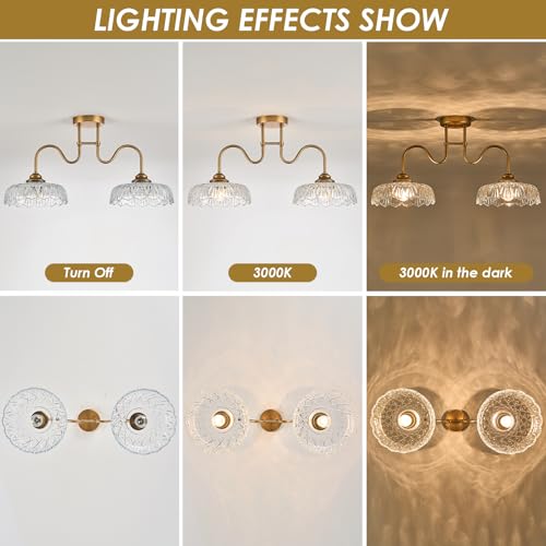 Glass Chandelier Ceiling Pendant Lighting Fixture 2 Lights Hanging Lamp for Bedroom Living Room Mater Room Hallway