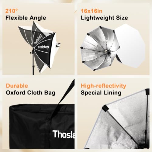Octa Softbox Lighting Kit 2pack (2 Count)