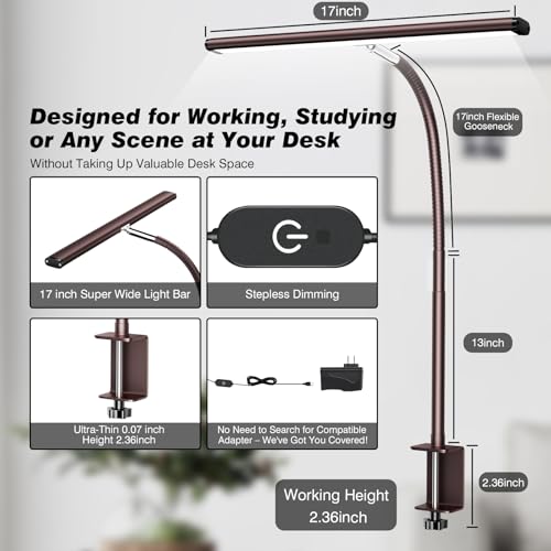 LED Desk Lamp with Clamp