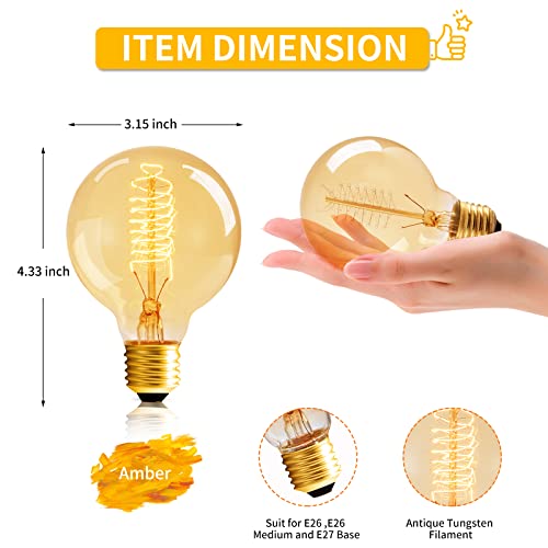 G25 Globe Edison Bulbs (6 Count)