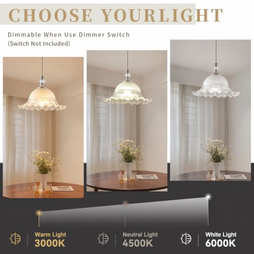 1 Pack Vintage Brushed Nickel Crystal Glass Pendant Light Fixture (Brushed Nickel / 1-Light)