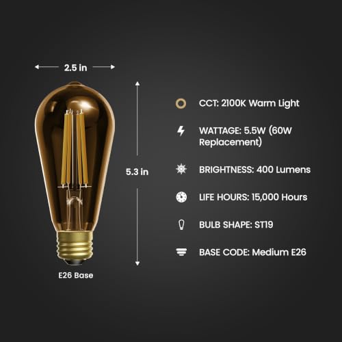 Vintage Exposed Straight Filament Amber Clear Glass LED ST19 (8 Count)