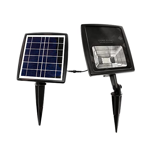 Dual Color Solar Flood Light