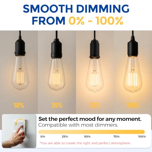 6 Pack Vintage Edison Bulbs (6 Count)