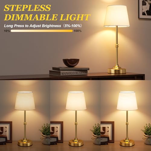 Cordless Table Lamp