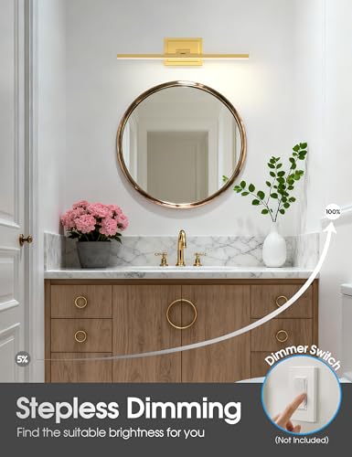 Bathroom Vanity Light 24 inch