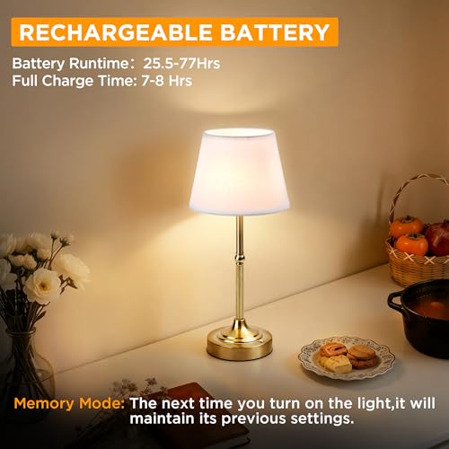 Cordless Table Lamp