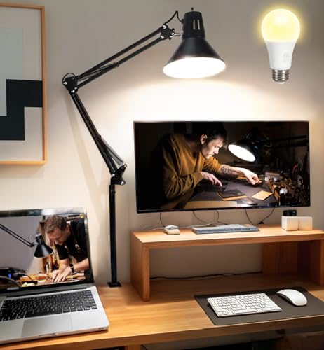 Black Desk Lamp with Clamp