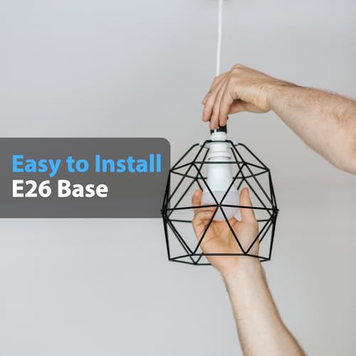 A19 LED Light Bulbs (24 Count)