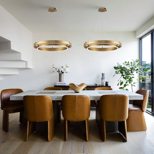 LED Ring Chandelier Brass Gold Round Chandelier 30W Entry Chandeliers Light