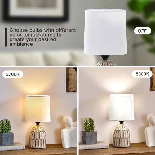 Small Table Lamp