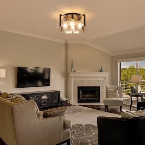 Black Flush Mount Ceiling Light Fixture