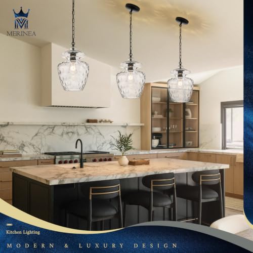 Farmhouse Black Glass Pendant Light