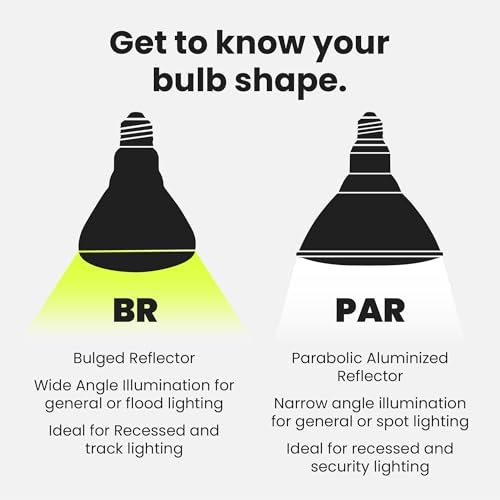 BR30 LED Light Bulbs (12 Count)