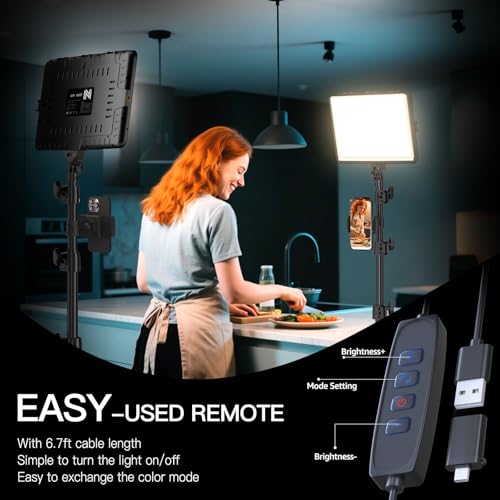 2 Pack LED Video Light Kit (2 Count)