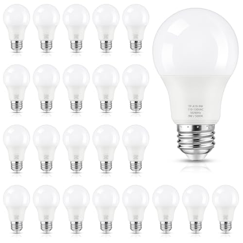 A19 LED Light Bulbs (24 Count)