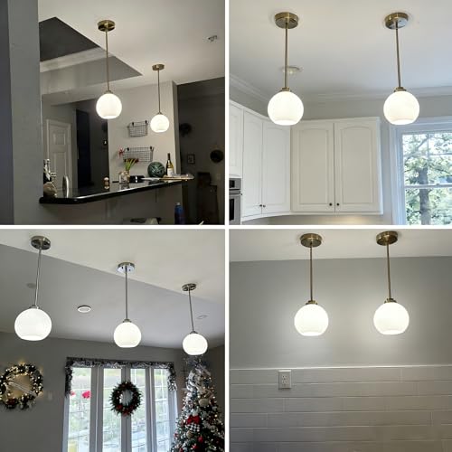 2 Pack Gold Globe Pendant Lights (2 Count)