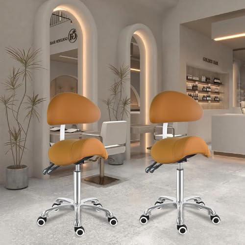 Saddle Stool Chair with Back Support