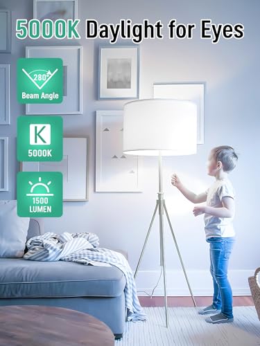 6 Pack LED Light Bulbs 100 Watt Equivalent (6 Count)