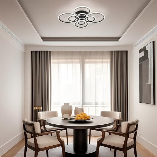 Modern LED Ceiling Light
