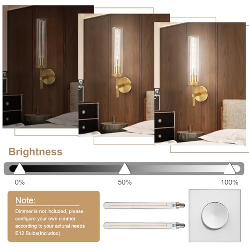 Brass Wall Sconces Set of Two with White Lights