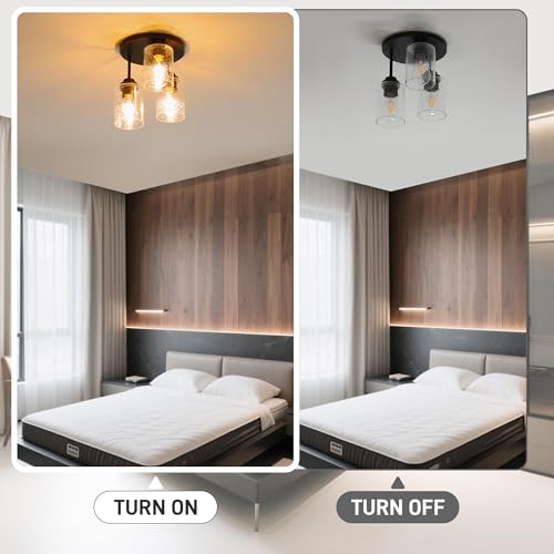 Semi Flush Mount Ceiling Light