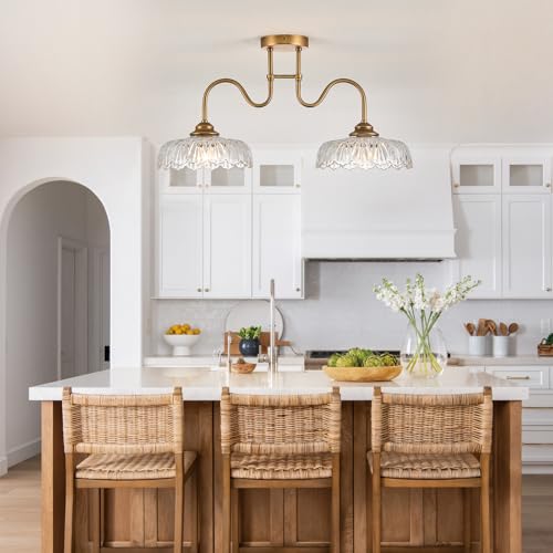 Glass Chandelier Ceiling Pendant Lighting Fixture 2 Lights Hanging Lamp for Bedroom Living Room Mater Room Hallway
