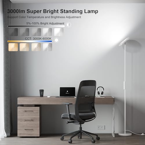 Floor Lamps for Living Room