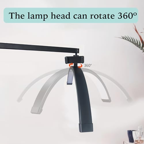 Half Moon Lamp for Lash Extension