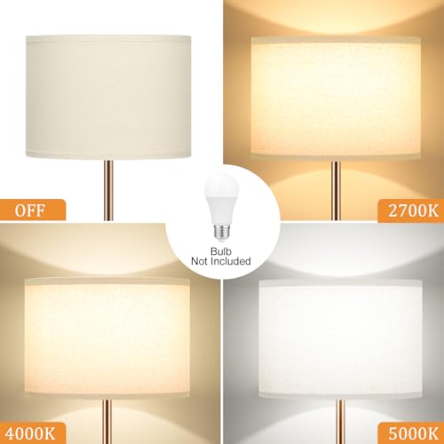60'' Modern Floor Lamp with Shade
