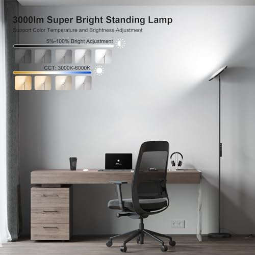 Floor Lamps for Living Room