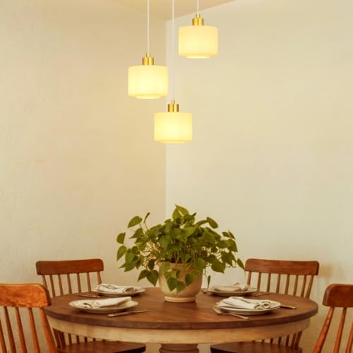 Brushed Gold Dining Room Chandelier Light Fixture