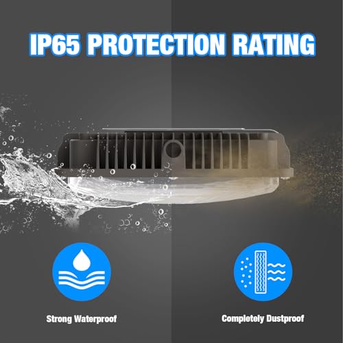 40W LED Canopy Light (40W 4PACK)