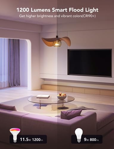 Smart Light Bulbs (2 Count)