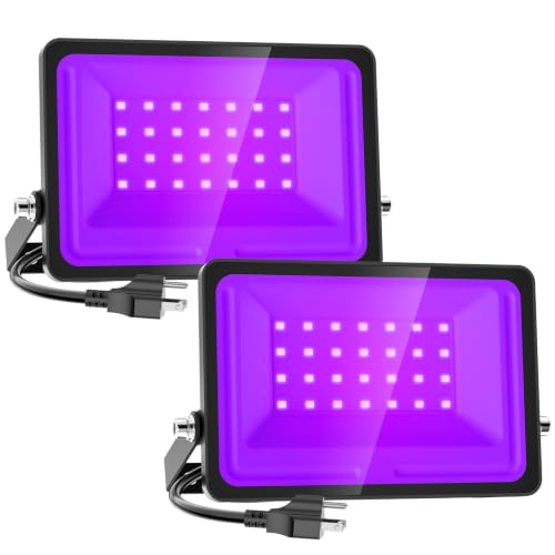 Purple Halloween Lights (Purple)