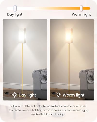 2Pack Floor Lamp (2 Count)