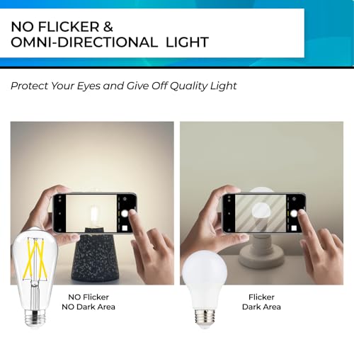 Edison Bulbs Dimmable (24 Count)