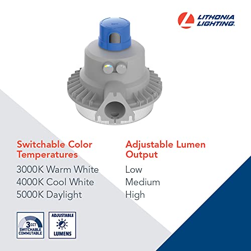 BarnGuard LED Barn Light