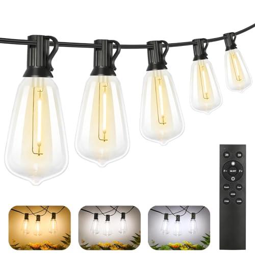 Dimmable Outdoor String Lights with Remote