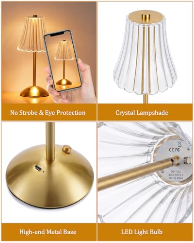 Rechargeable Cordless Table Lamp
